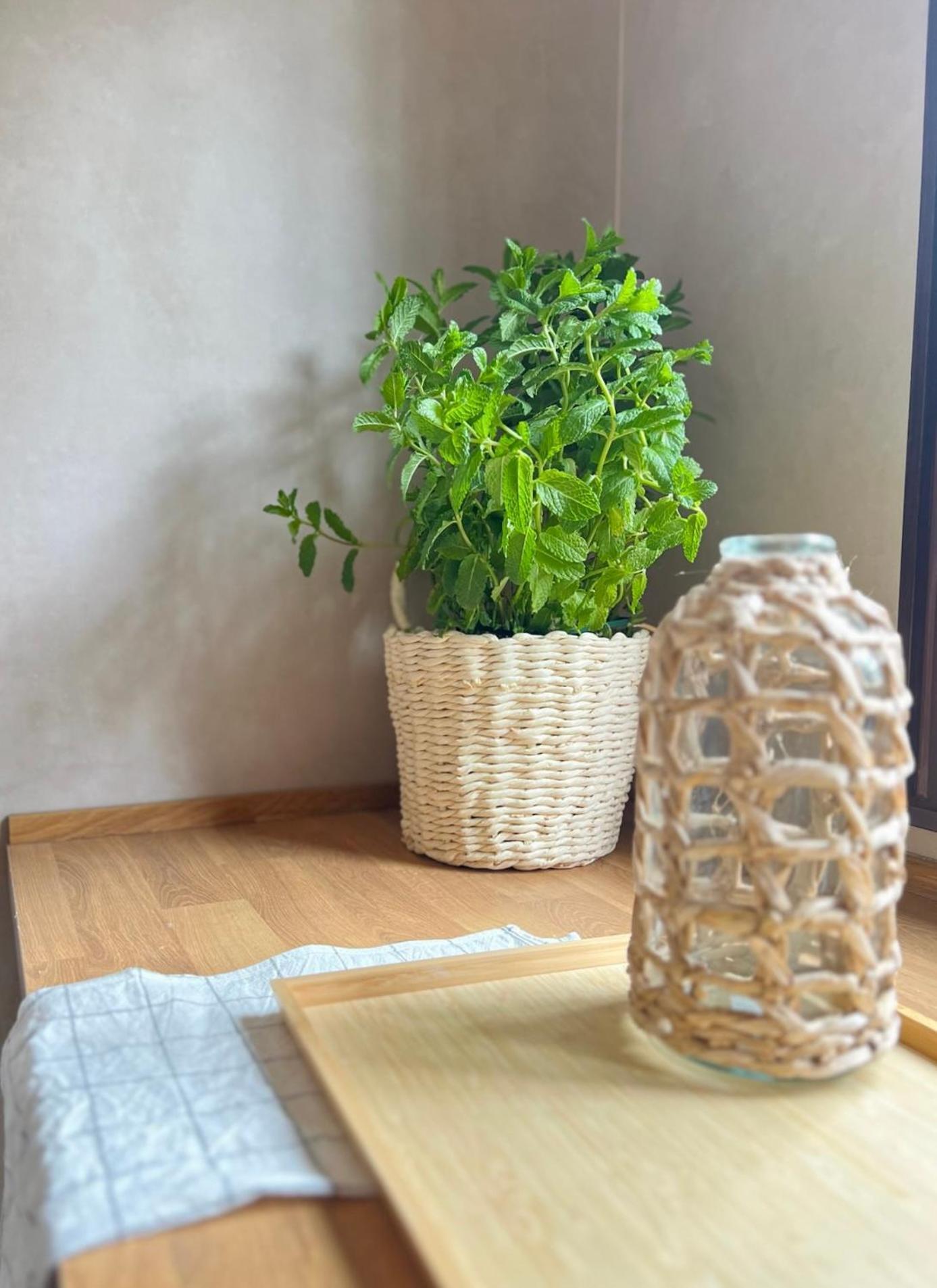 Lenta Suites 波索爱尔康 外观 照片